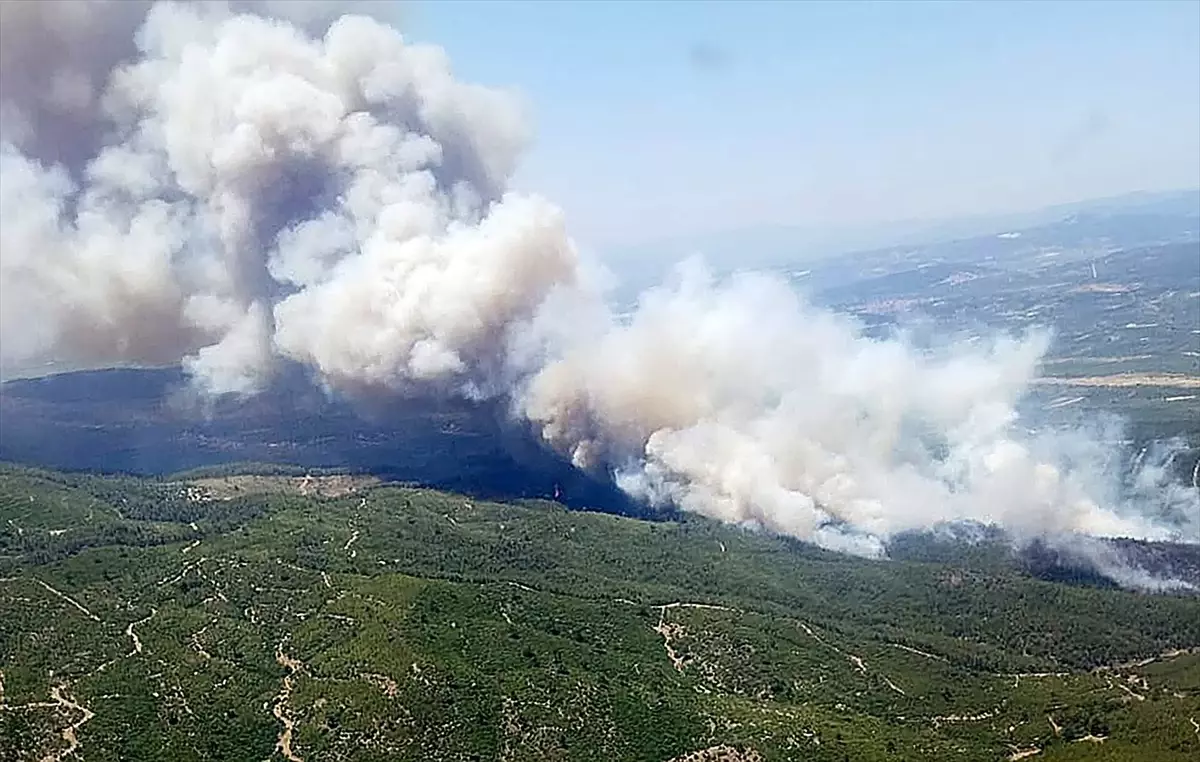 akhisarda-orman-yangini-havadan-ve-karadan-mudahale-ediliyor-1xHBAnuC.jpg