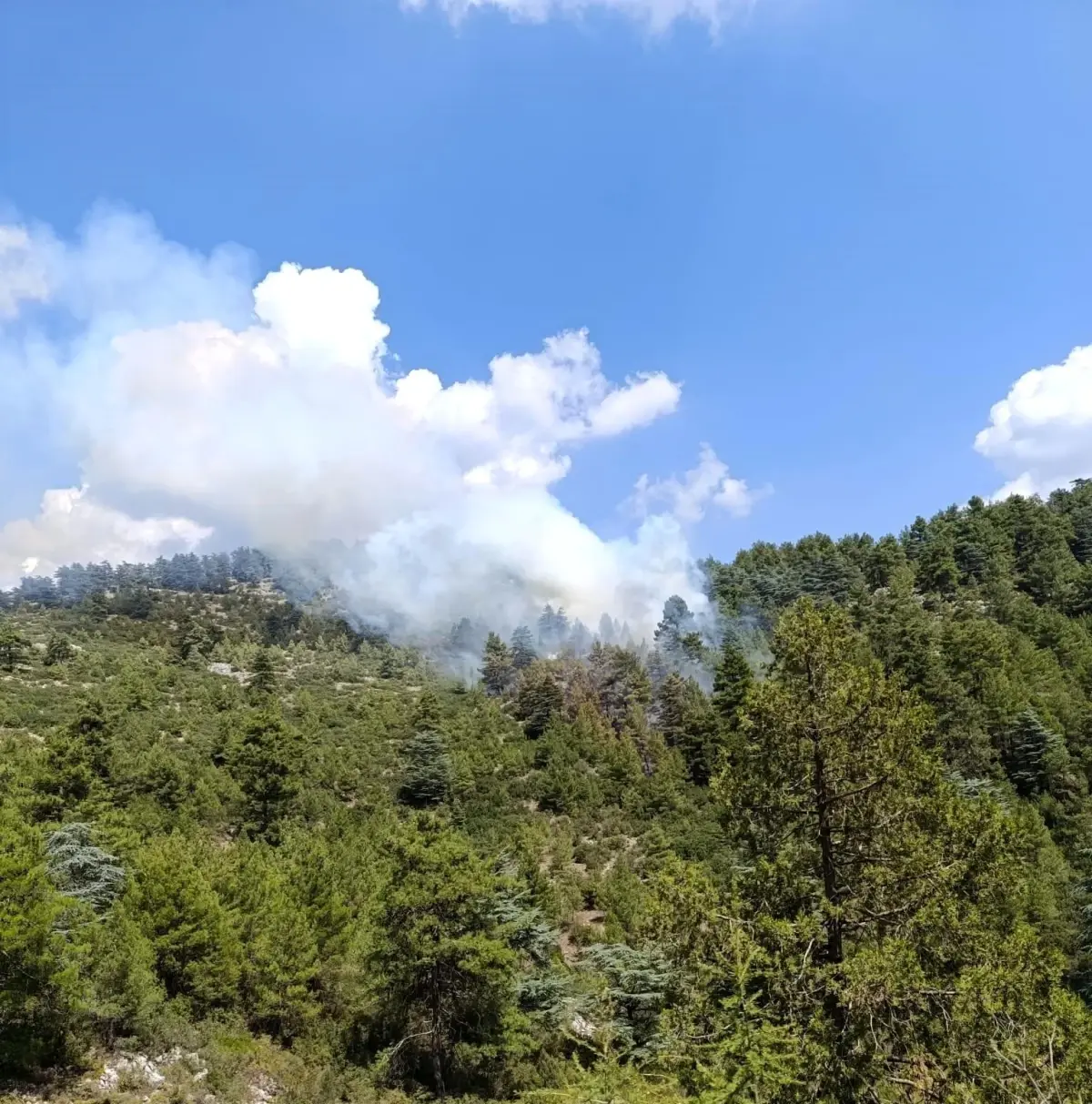denizlide-yildirim-dusmesi-sonucu-orman-yanginlari-cikti-mMXT16zP.jpg