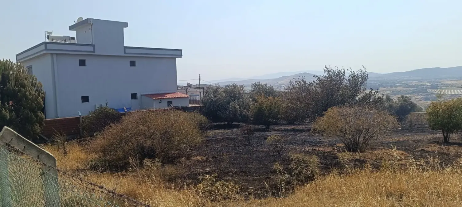 focadaki-orman-yangini-denetim-altina-alindi-VJaL89SE.jpg