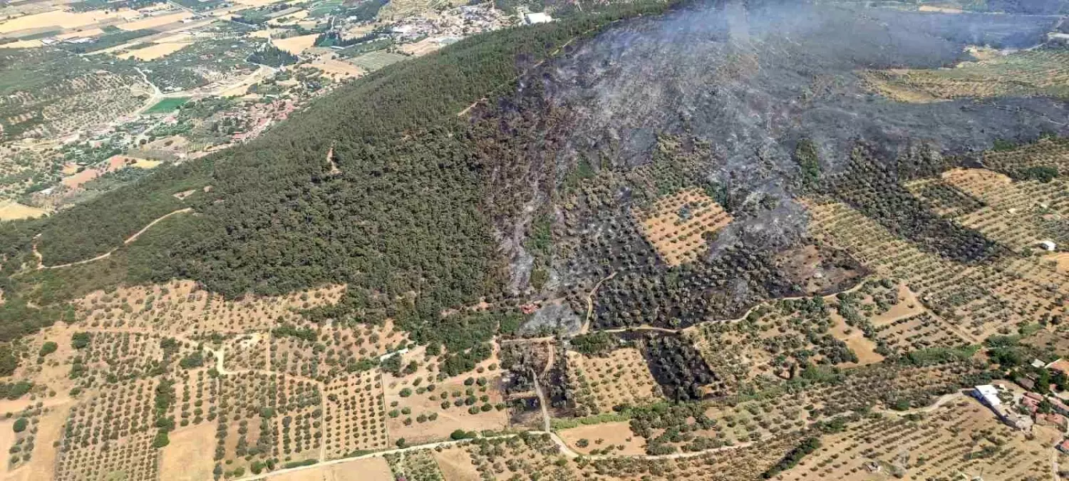 izmirde-orman-yangini-denetim-altina-alindi-4-kisi-gozaltinda-QnSYr3fy.jpg