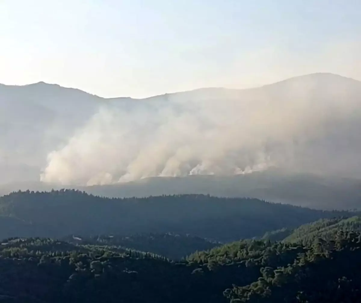 izmirde-orman-yanginina-hava-mudahalesi-basladi-3FS9Apgi.jpg