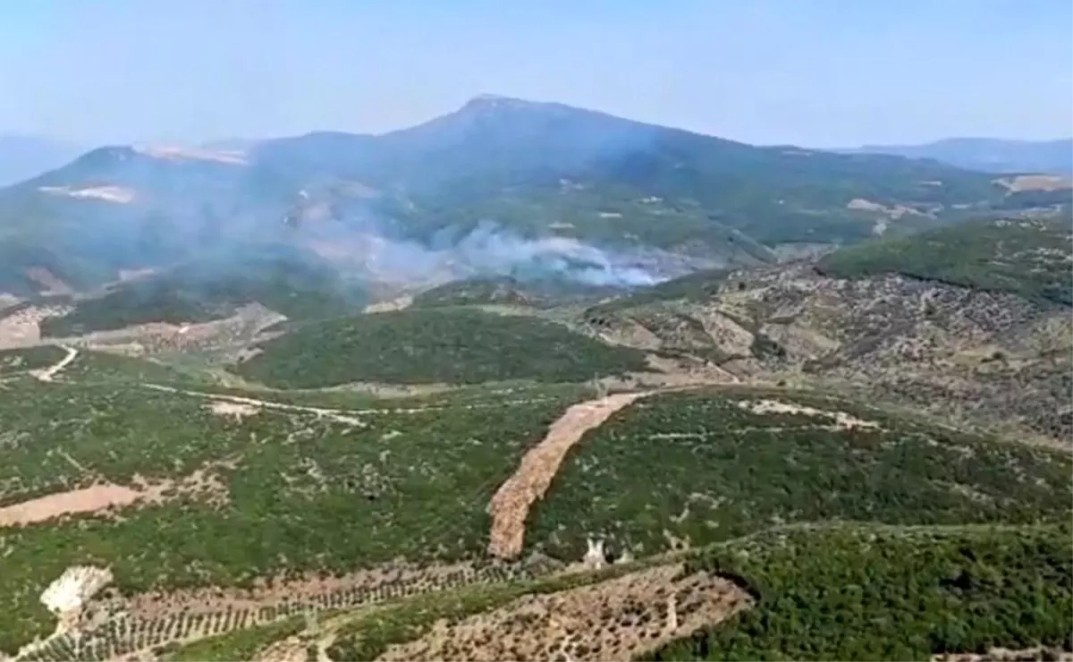 izmirde-orman-yanginina-hava-ve-kara-mudahalesi-vrE23y1G.jpg