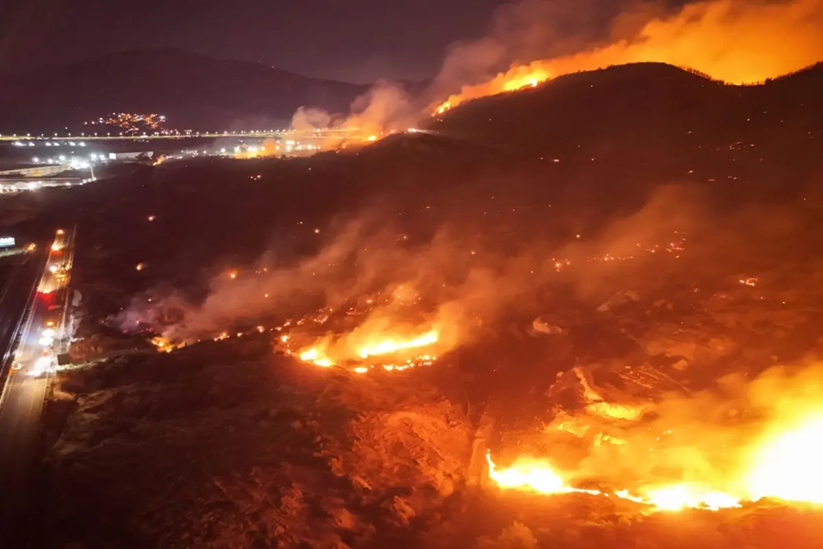 izmirde-tekrar-orman-yangini-bir-kisi-gozaltina-alindi-wTek4fi9.jpg
