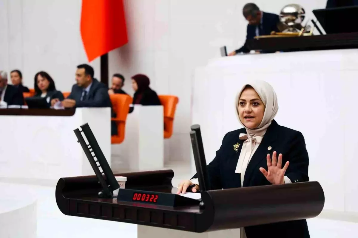 sema-silkin-unden-iklim-kanununa-sert-tenkitler-bZa8ZxIS.jpg