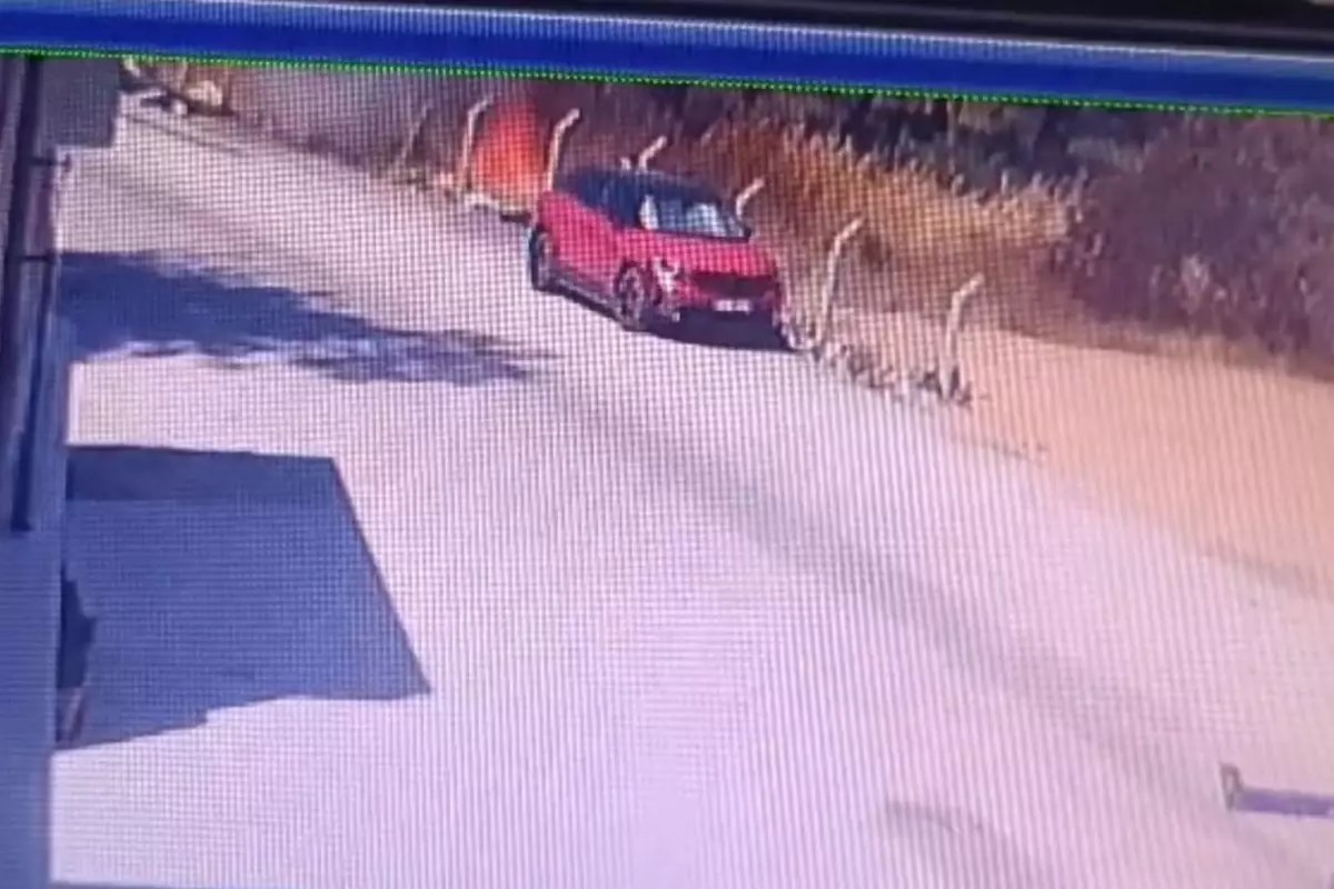 bucadaki-orman-yangininin-cikis-ani-imaji-ortaya-cikti-9kyEm88P.jpg