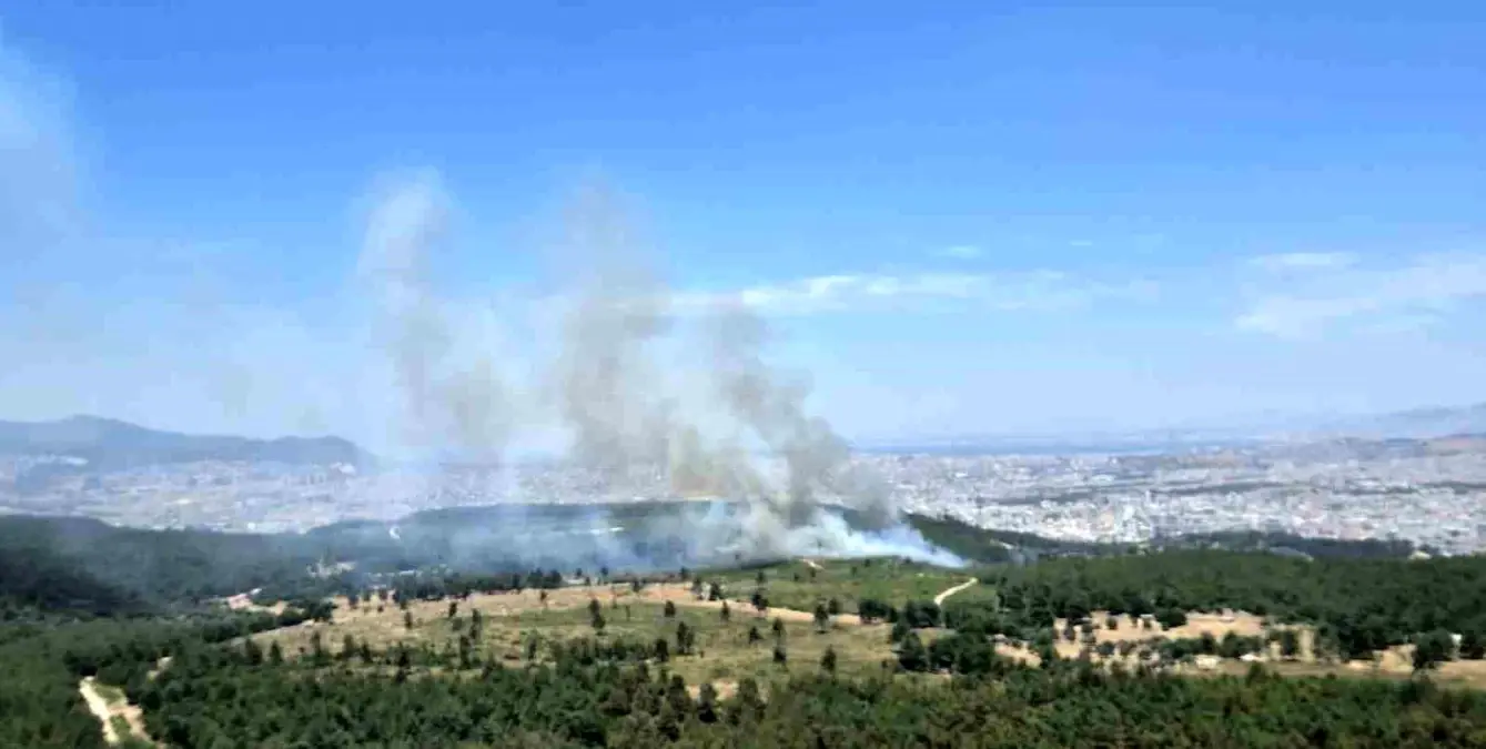 izmirde-orman-yanginina-hava-ve-karadan-mudahale-G9s1EFet.jpg