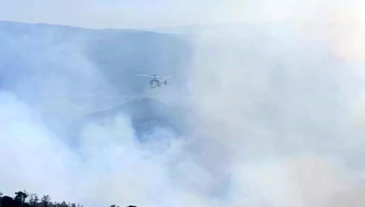 denizlide-orman-yangini-denetim-altina-alinmaya-calisiliyor-YHhB7dgS.jpg