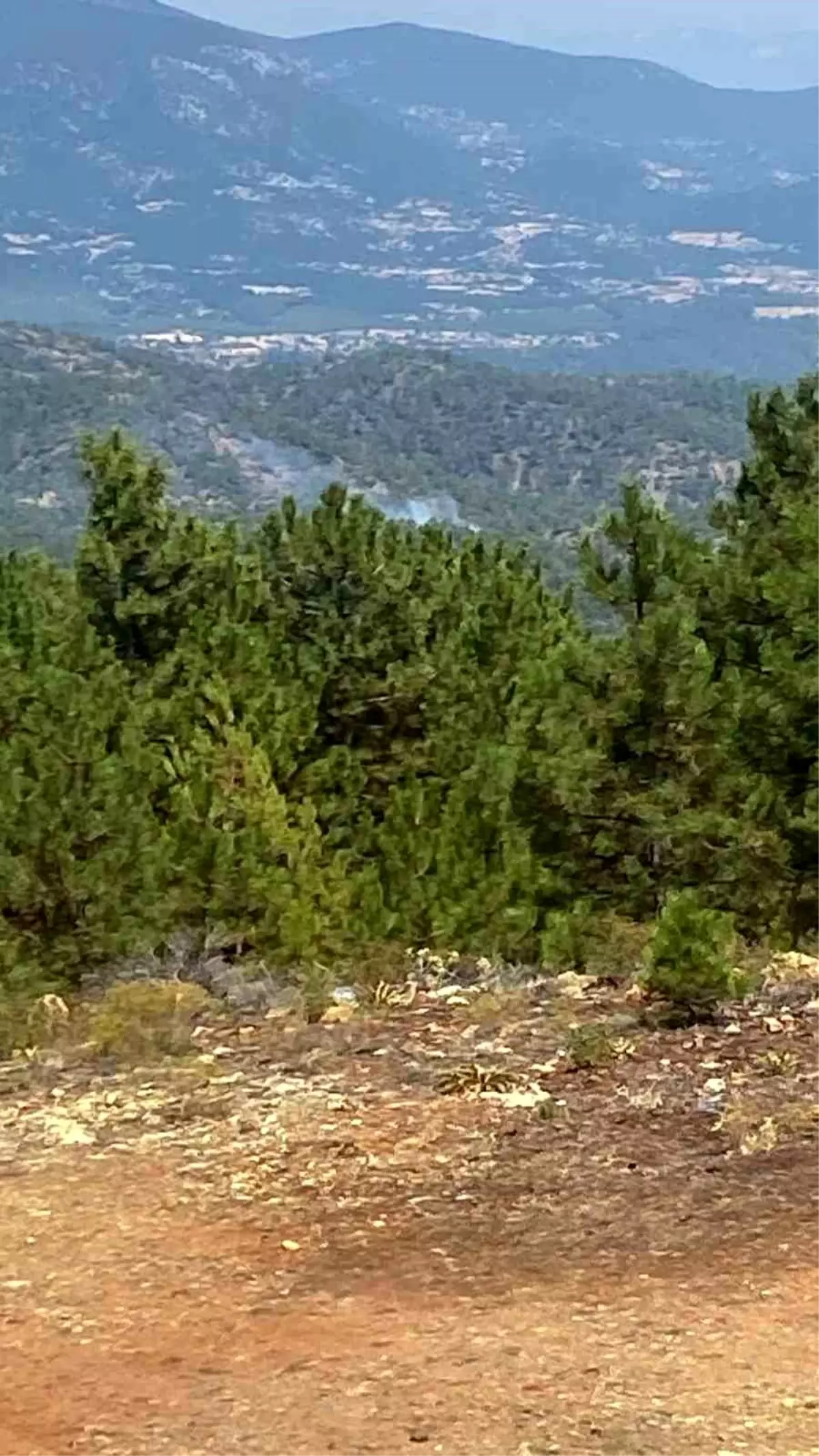 denizlide-orman-yanginina-hava-takviyesi-r1sRjDhG.jpg