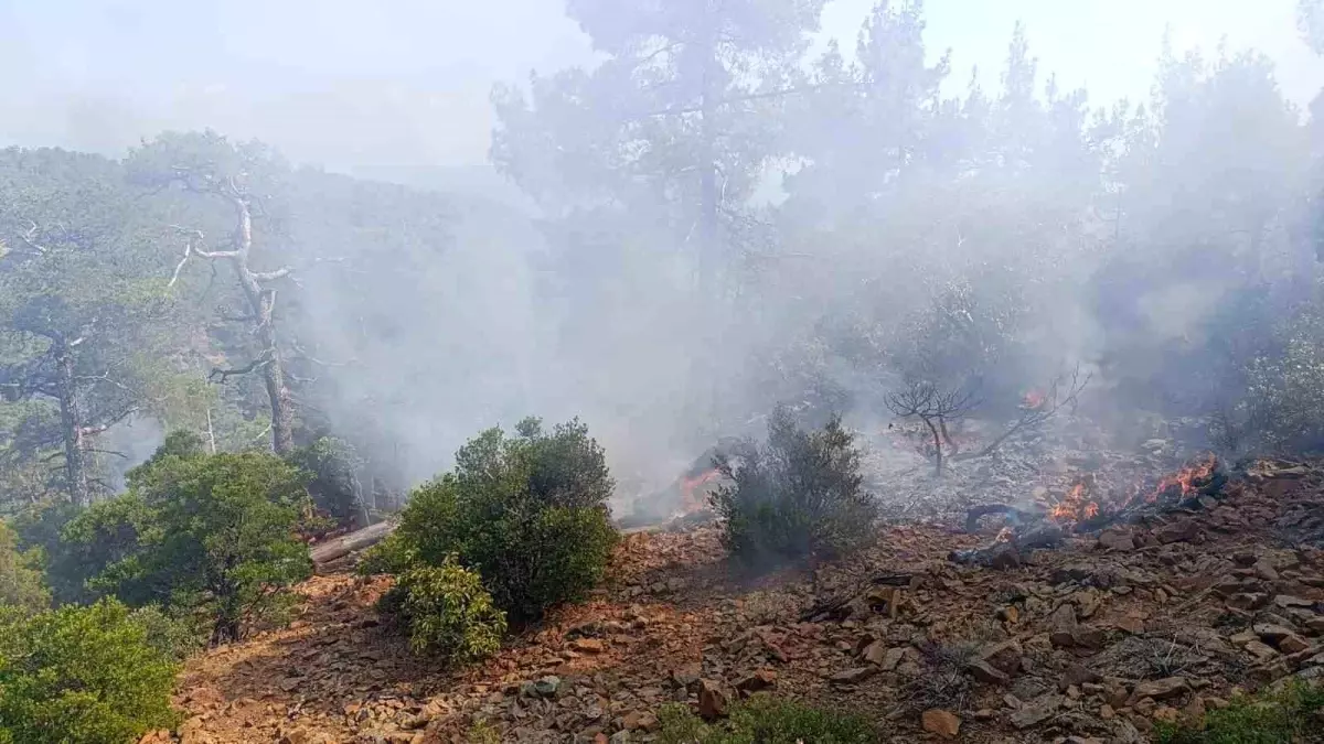 denizlide-orman-yanginina-havadan-mudahele-Bh3fECEH.jpg