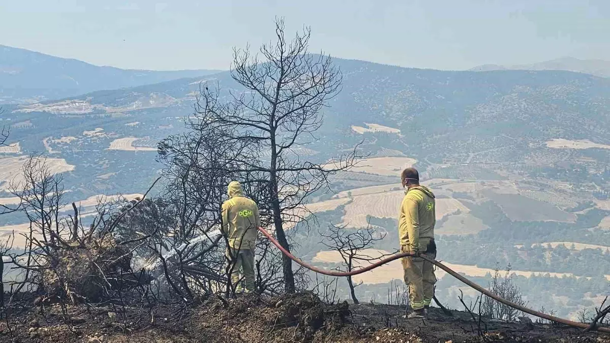 denizlide-yildirim-dusmesi-orman-yanginina-neden-oldu-Fn9F7YrA.jpg