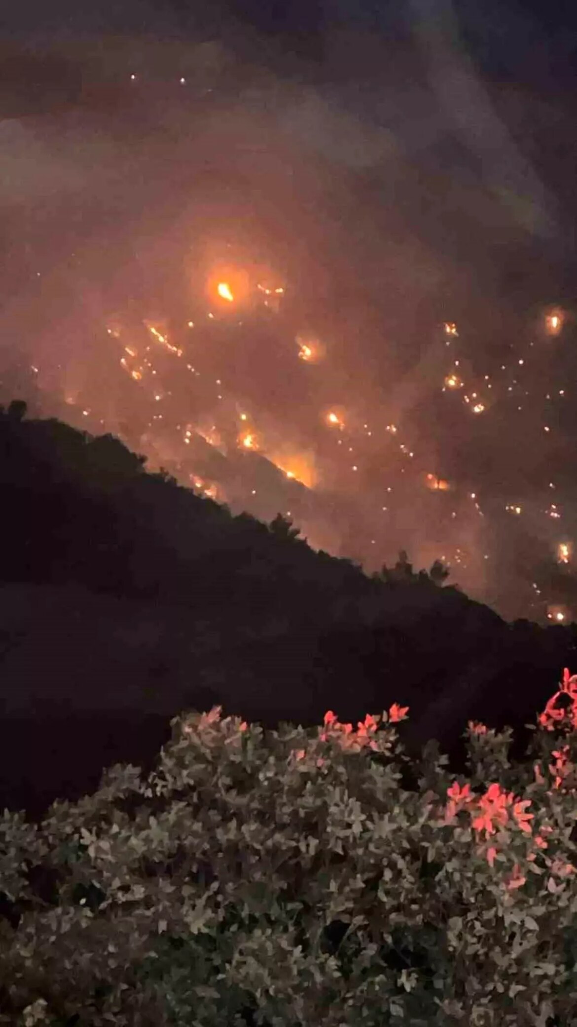 denizlideki-yangin-aydina-sicradi-7YtuDl2L.jpg