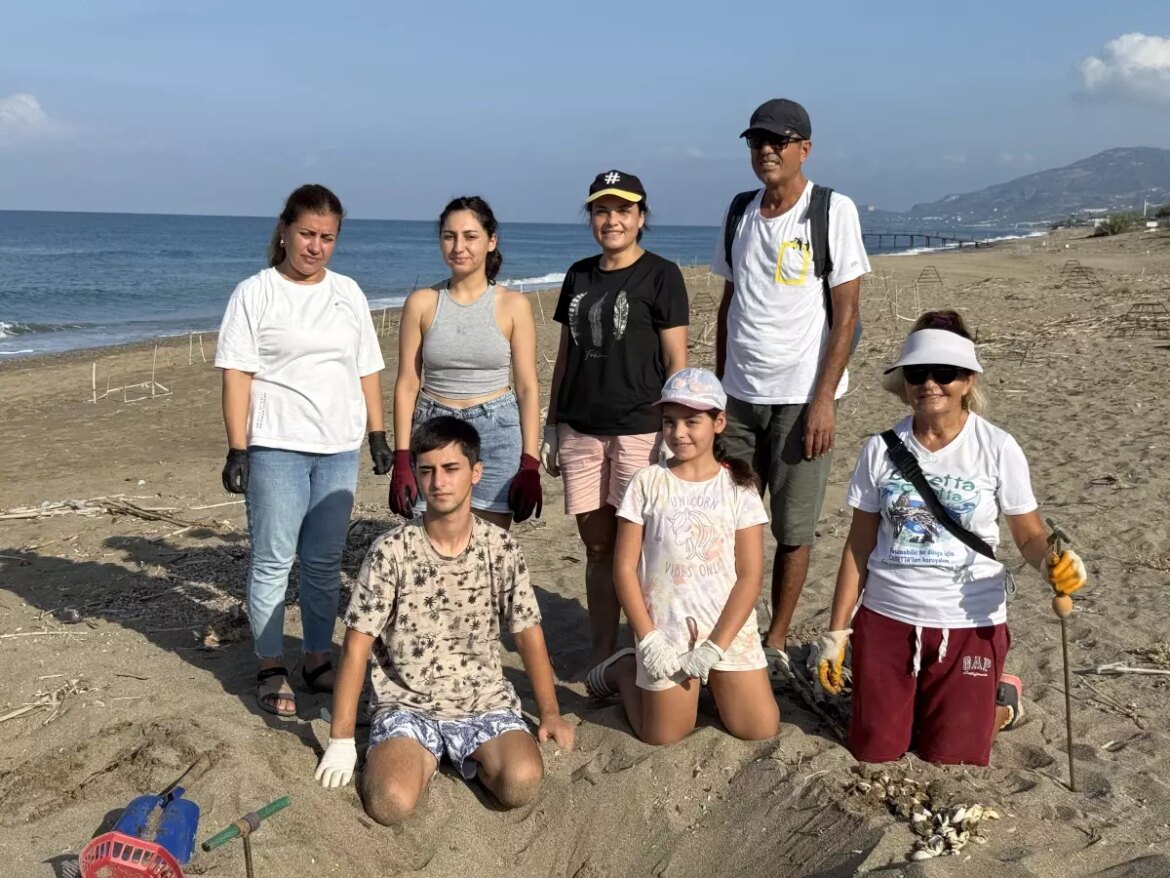 caretta-caretta-yavrulari-denize-kavusuyor-l11OxY1f.jpg