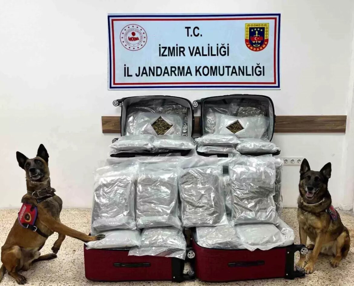 izmirde-jandarmadan-uyusturucu-operasyonu-180-kilogram-esrar-ele-ge-gecirildi-mNY5vgSD.jpg